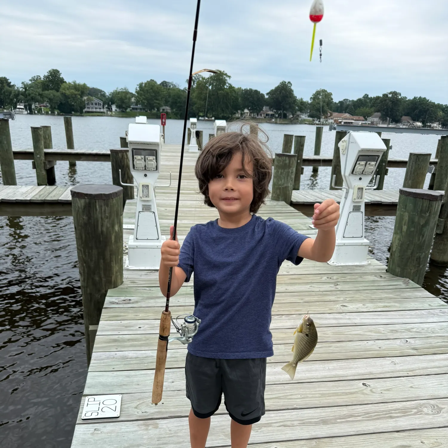 Striped bass caught on Fishbrain