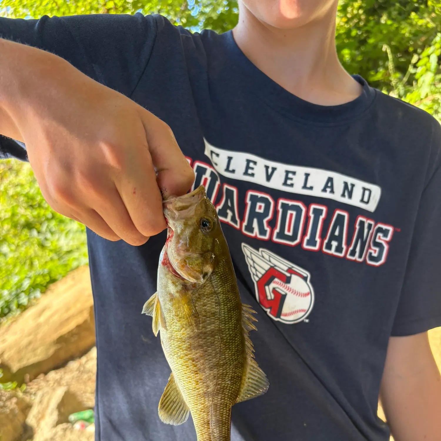 Smallmouth bass caught on Fishbrain