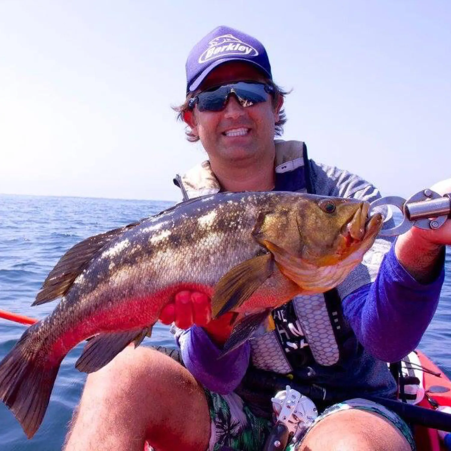 The most popular recent Kelp bass catch on Fishbrain