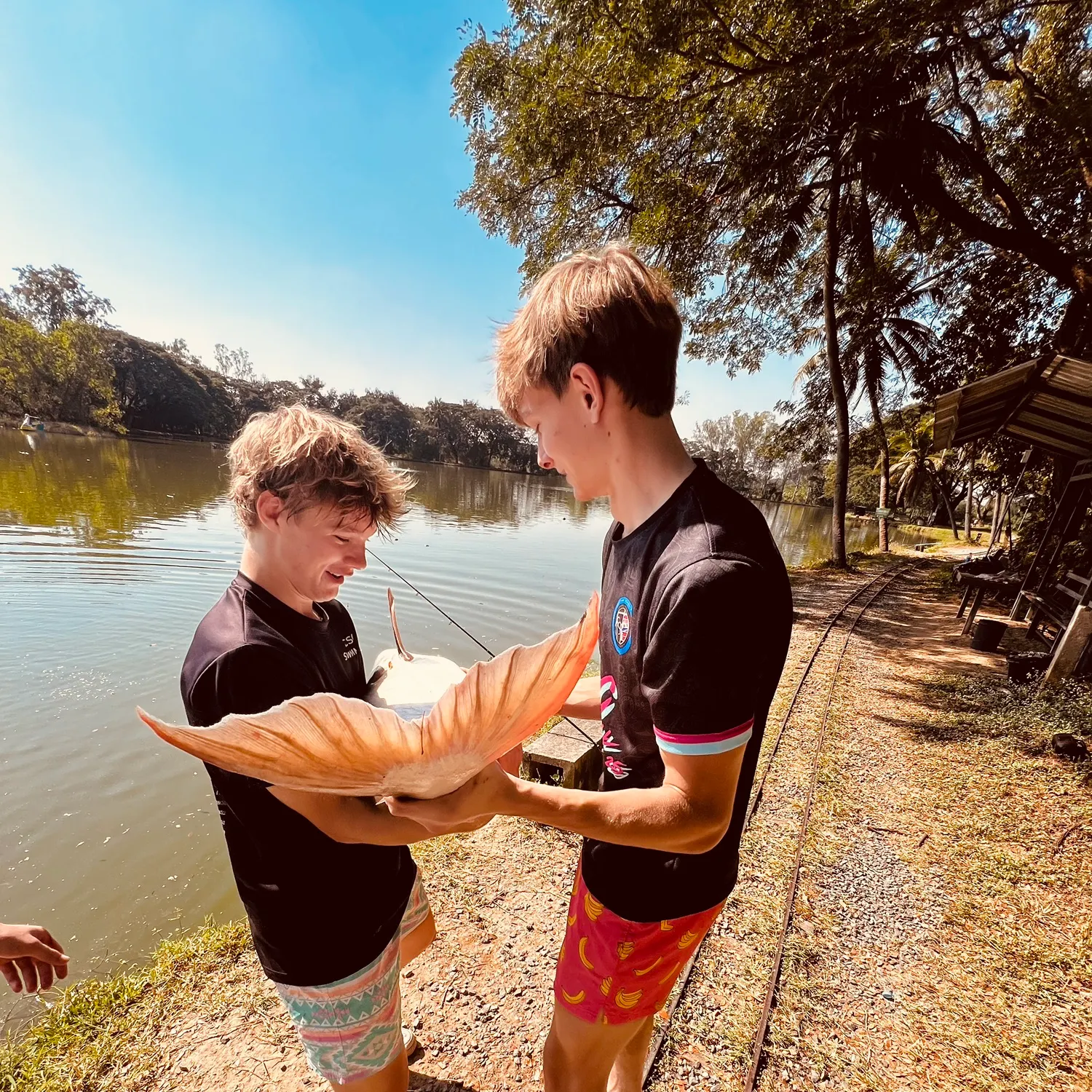 The most recent Striped catfish catches on Fishbrain