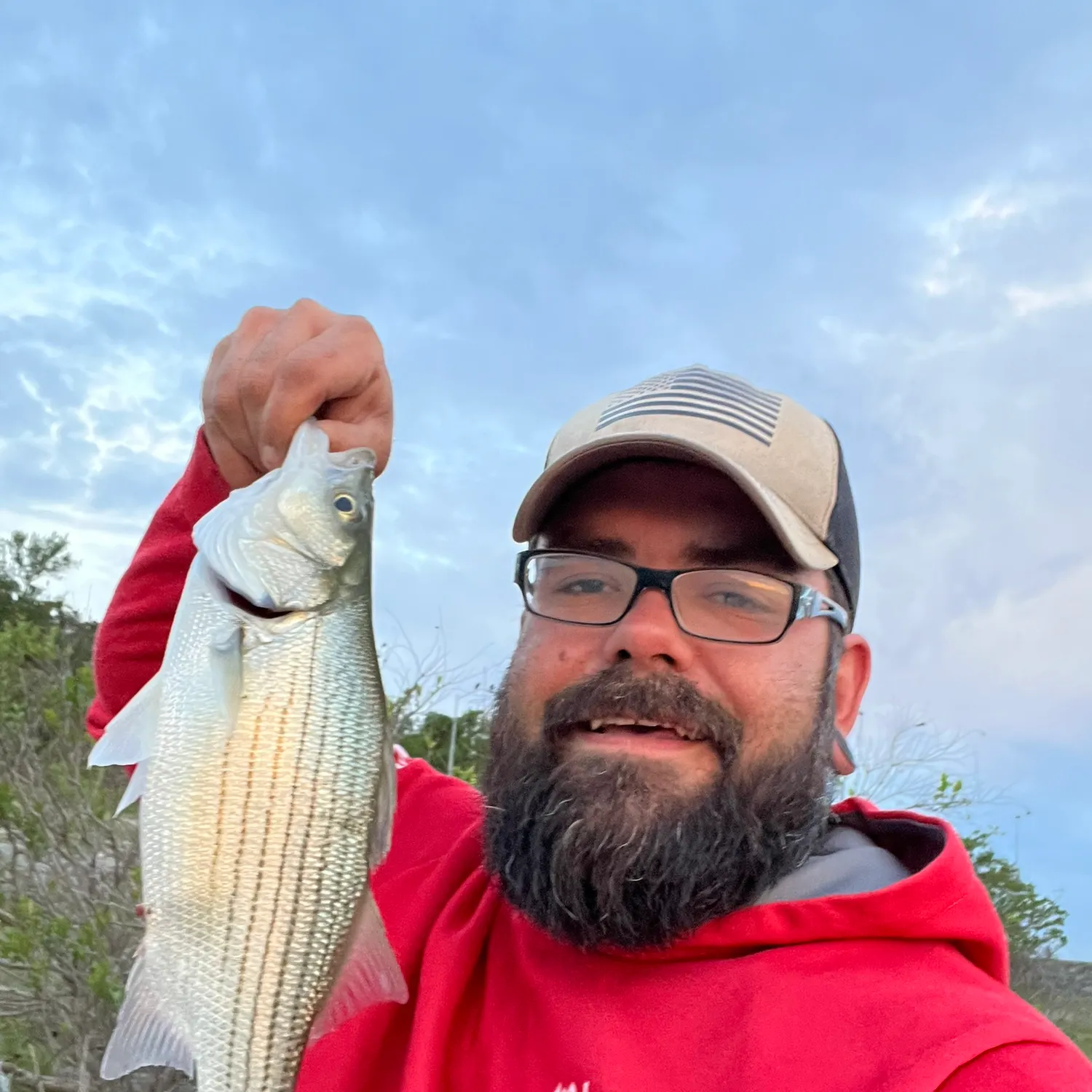 The most recent White bass catches on Fishbrain