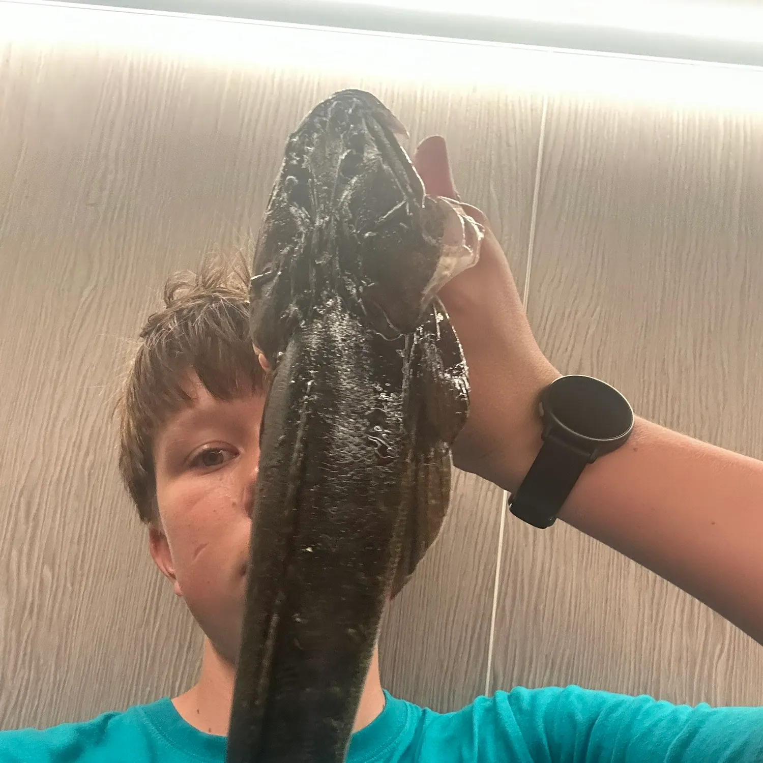 The most recent Dusky flathead catches on Fishbrain