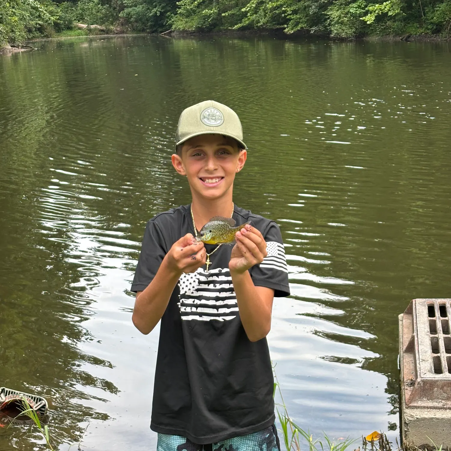 Pumpkinseed caught on Fishbrain