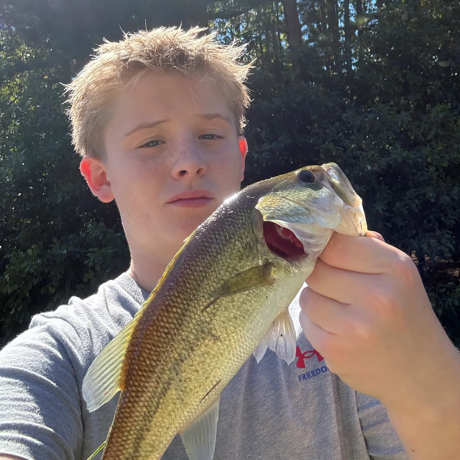 Largemouth bass caught on Fishbrain