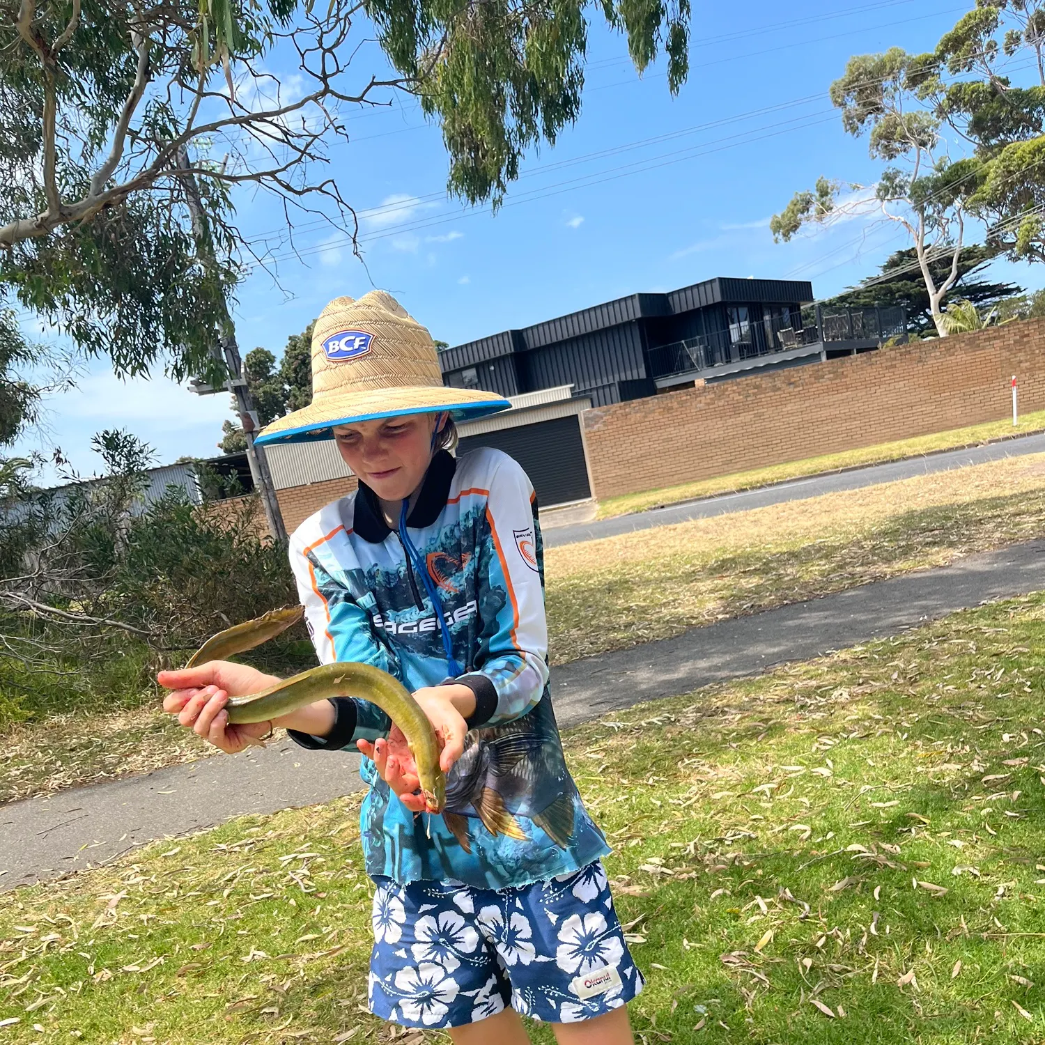 The most recent European eel catches on Fishbrain