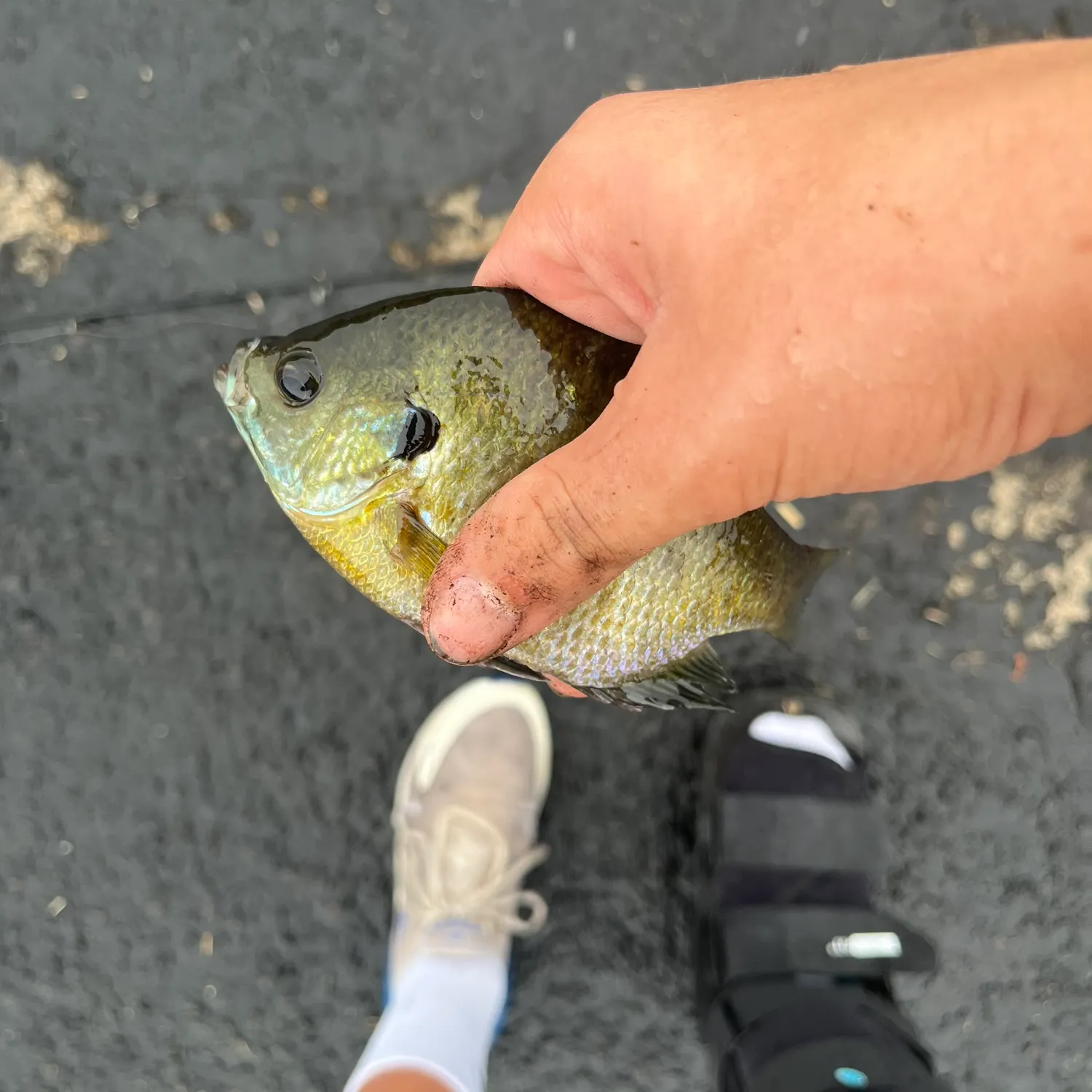 catch