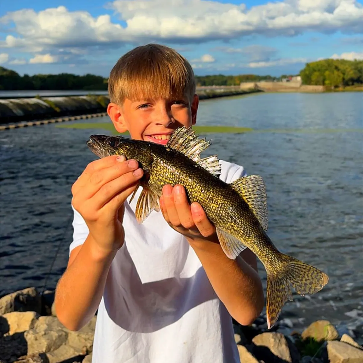 Walleye caught on Fishbrain