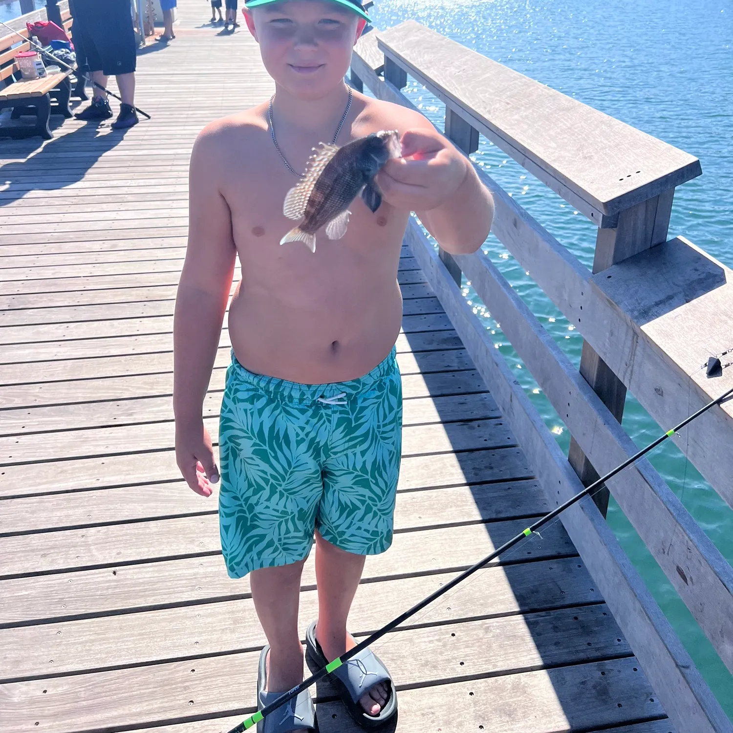 Black sea bass caught on Fishbrain