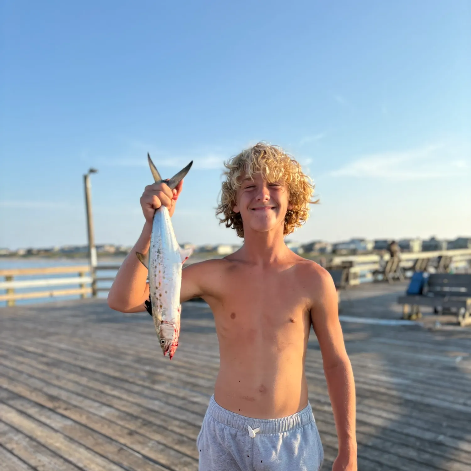 The most recent Spanish mackerel catches on Fishbrain