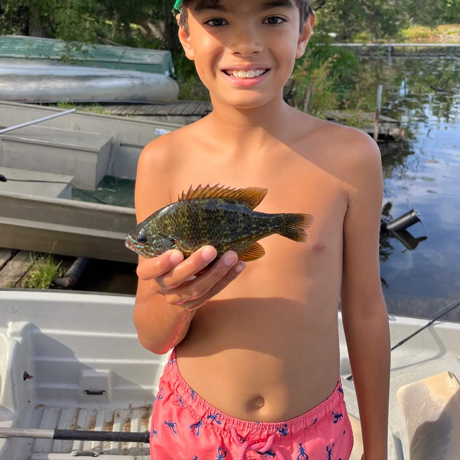 Greengill hybrid caught on Fishbrain