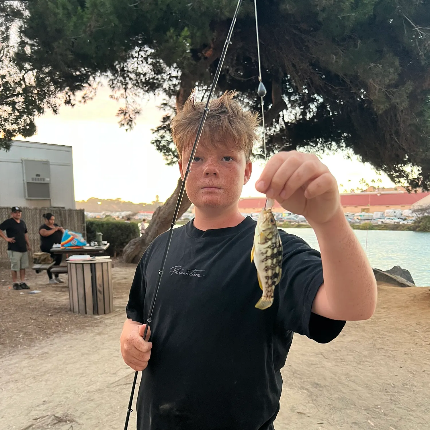 Kelp bass caught on Fishbrain