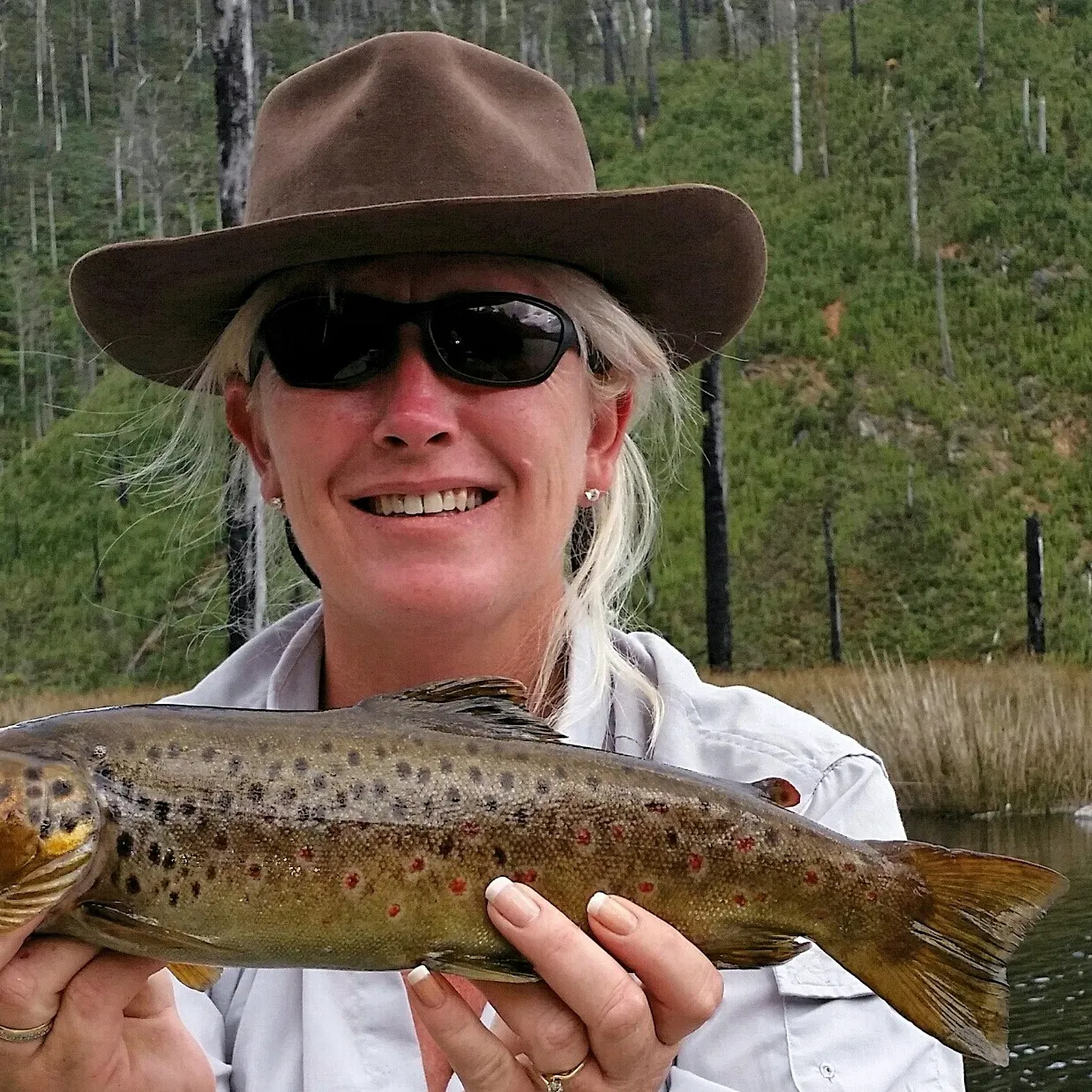 Brown trout caught on Fishbrain