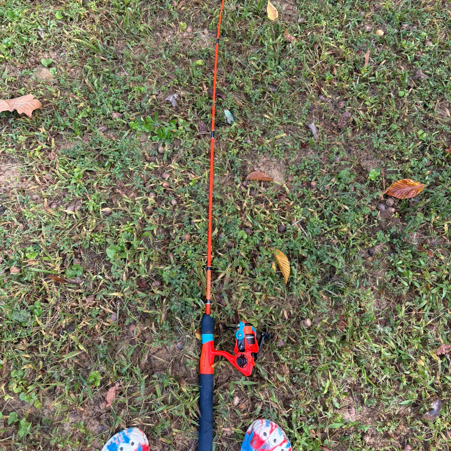 Fish caught on Fishbrain