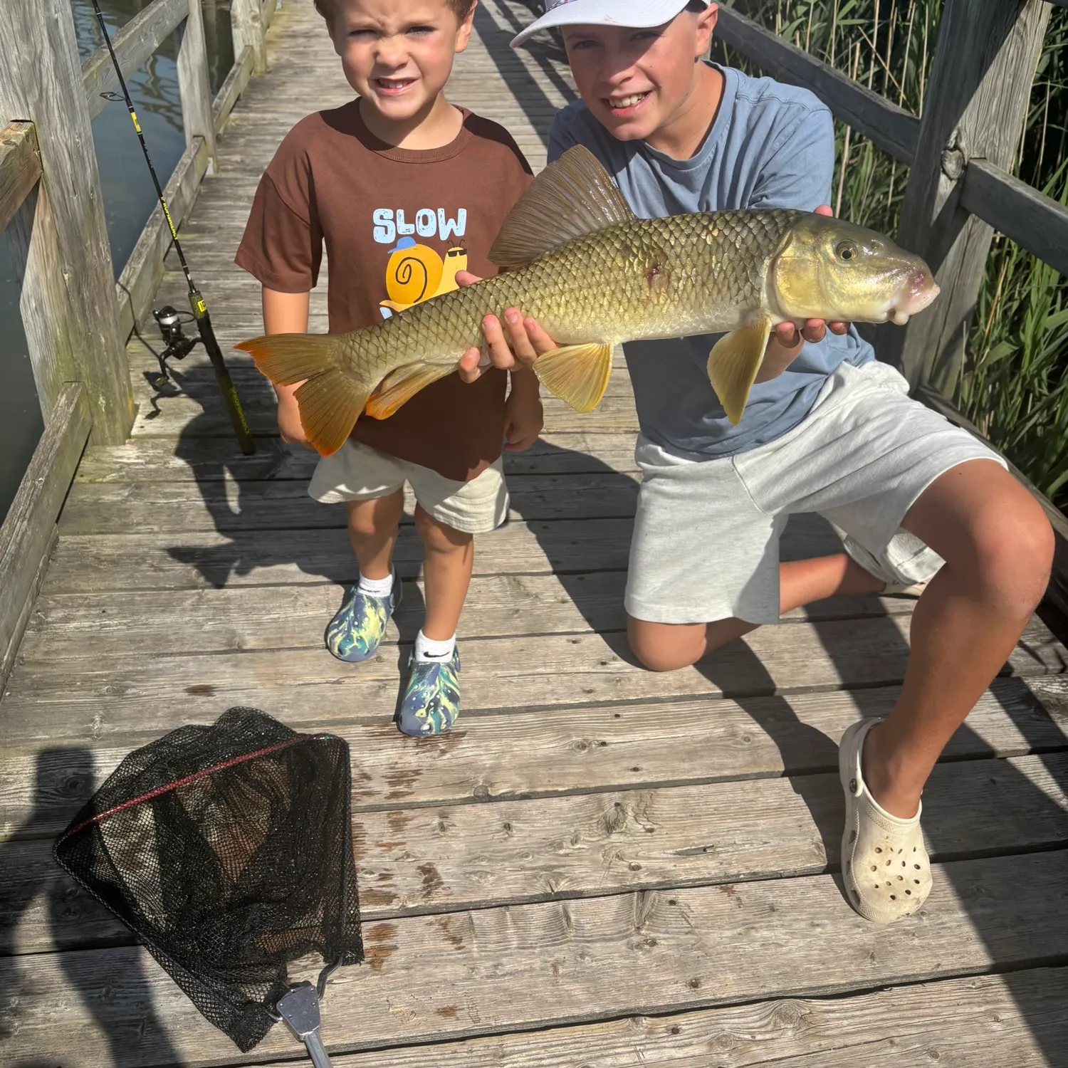 The most recent Greater redhorse catches on Fishbrain