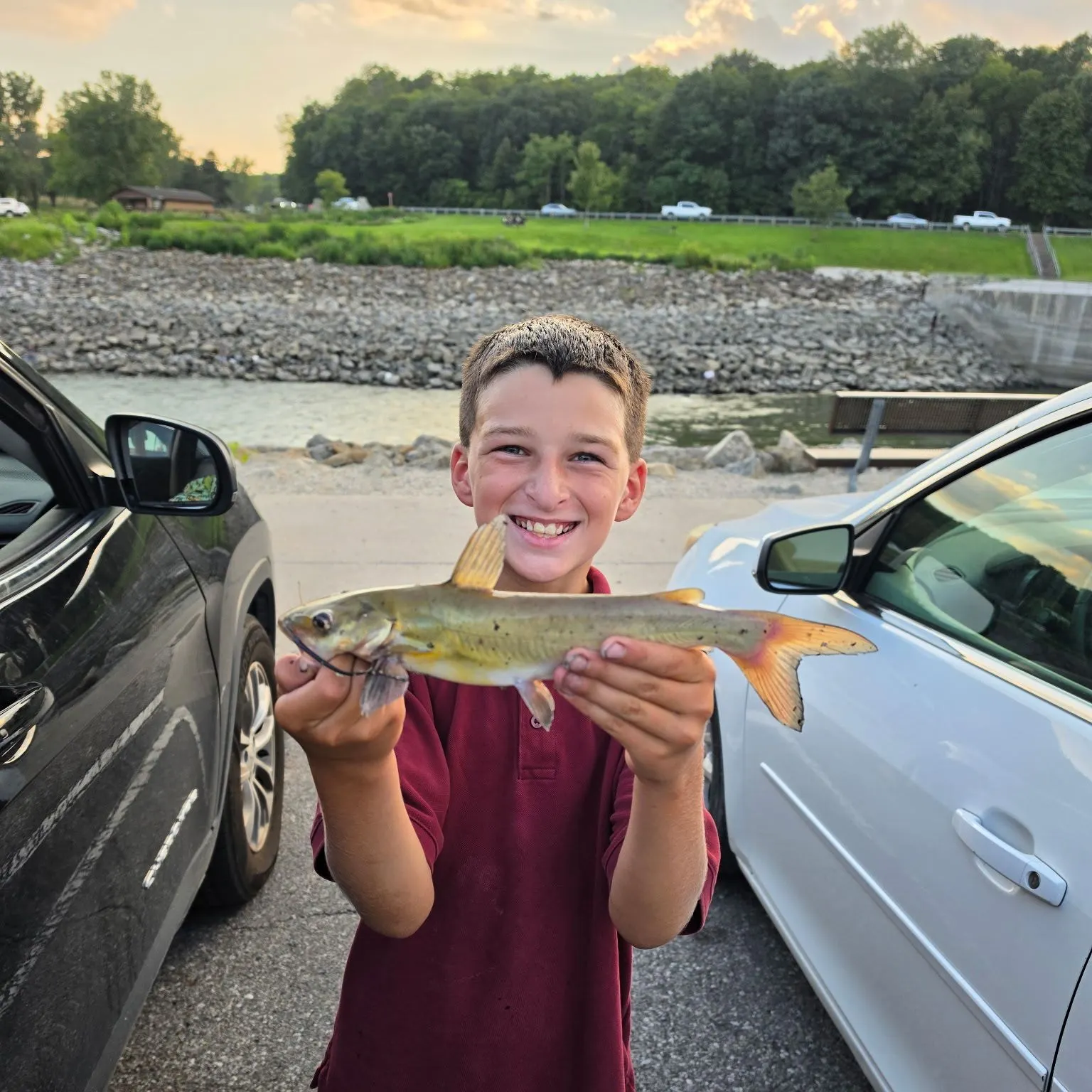 Channel catfish caught on Fishbrain