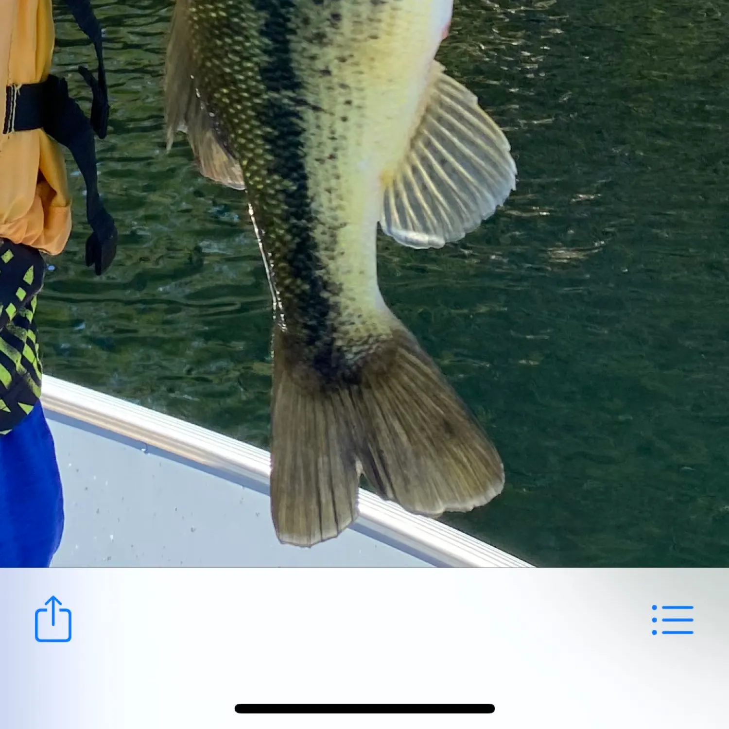 recently logged catches