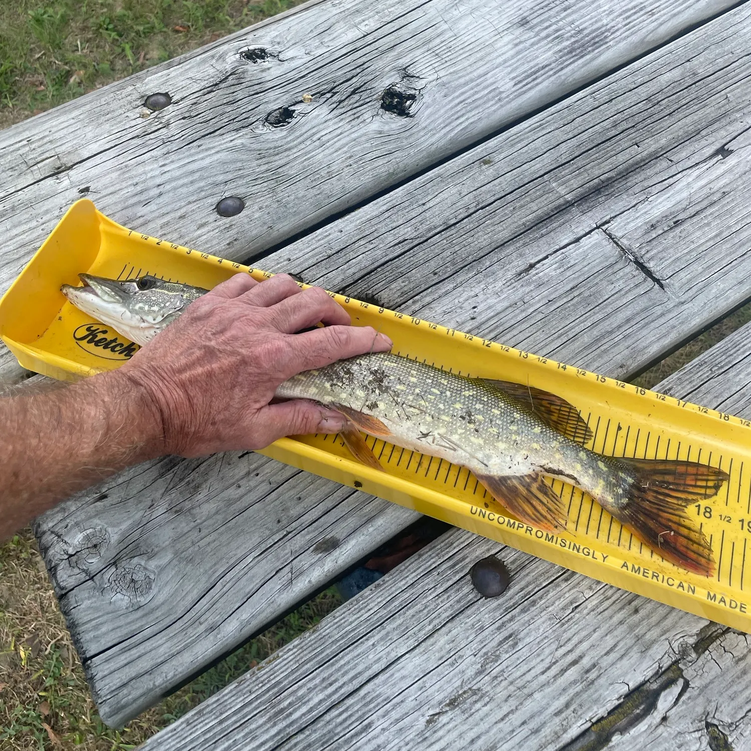 catch