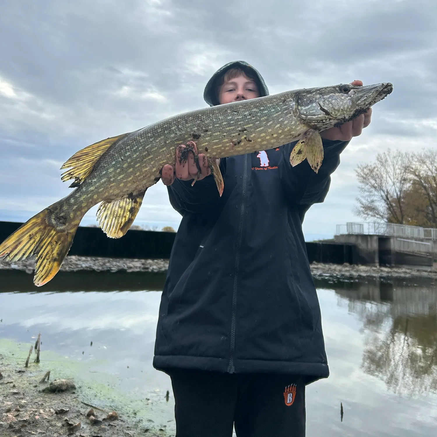 Northern pike caught on Fishbrain