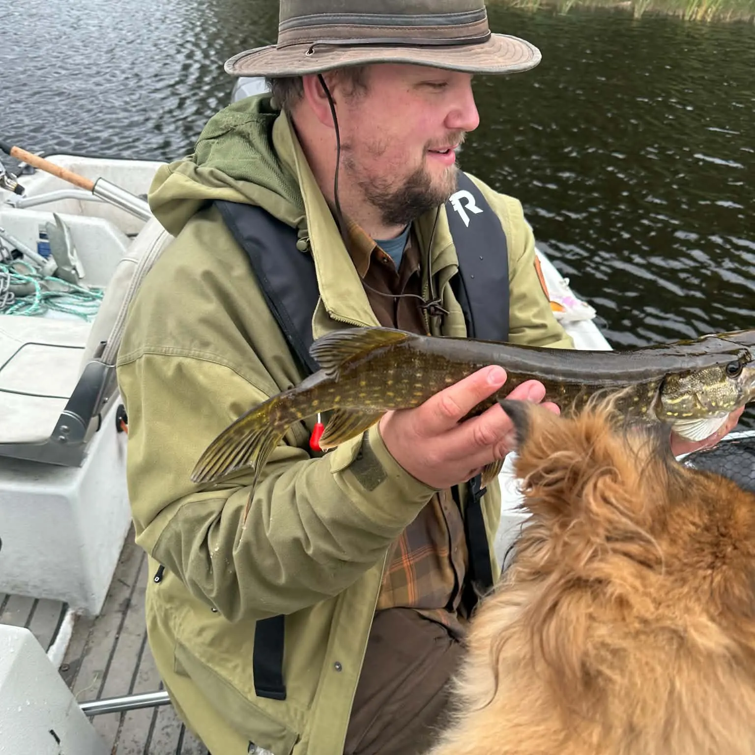 Northern pike caught on Fishbrain