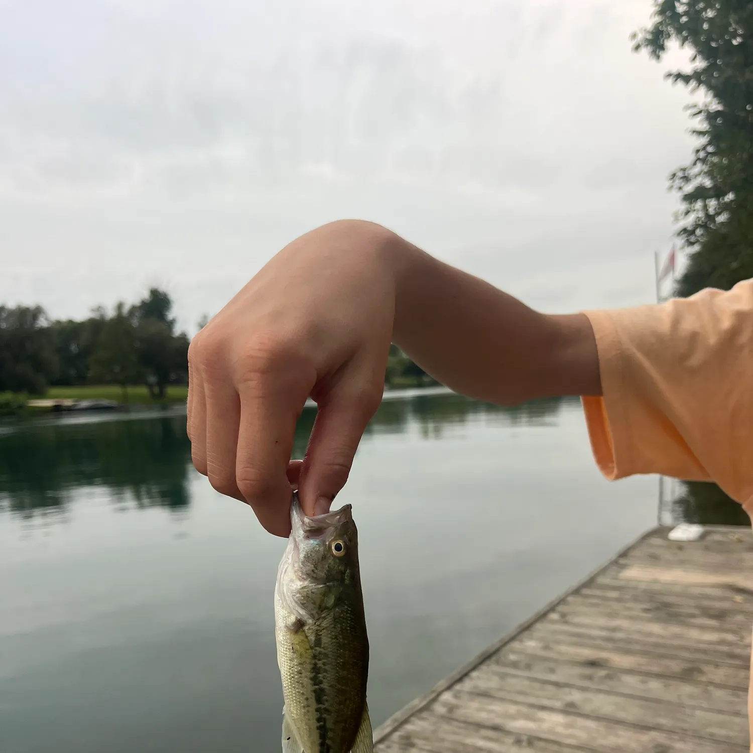 Fish caught on Fishbrain