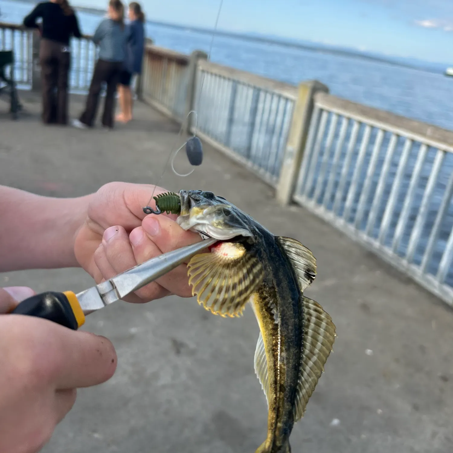 catch