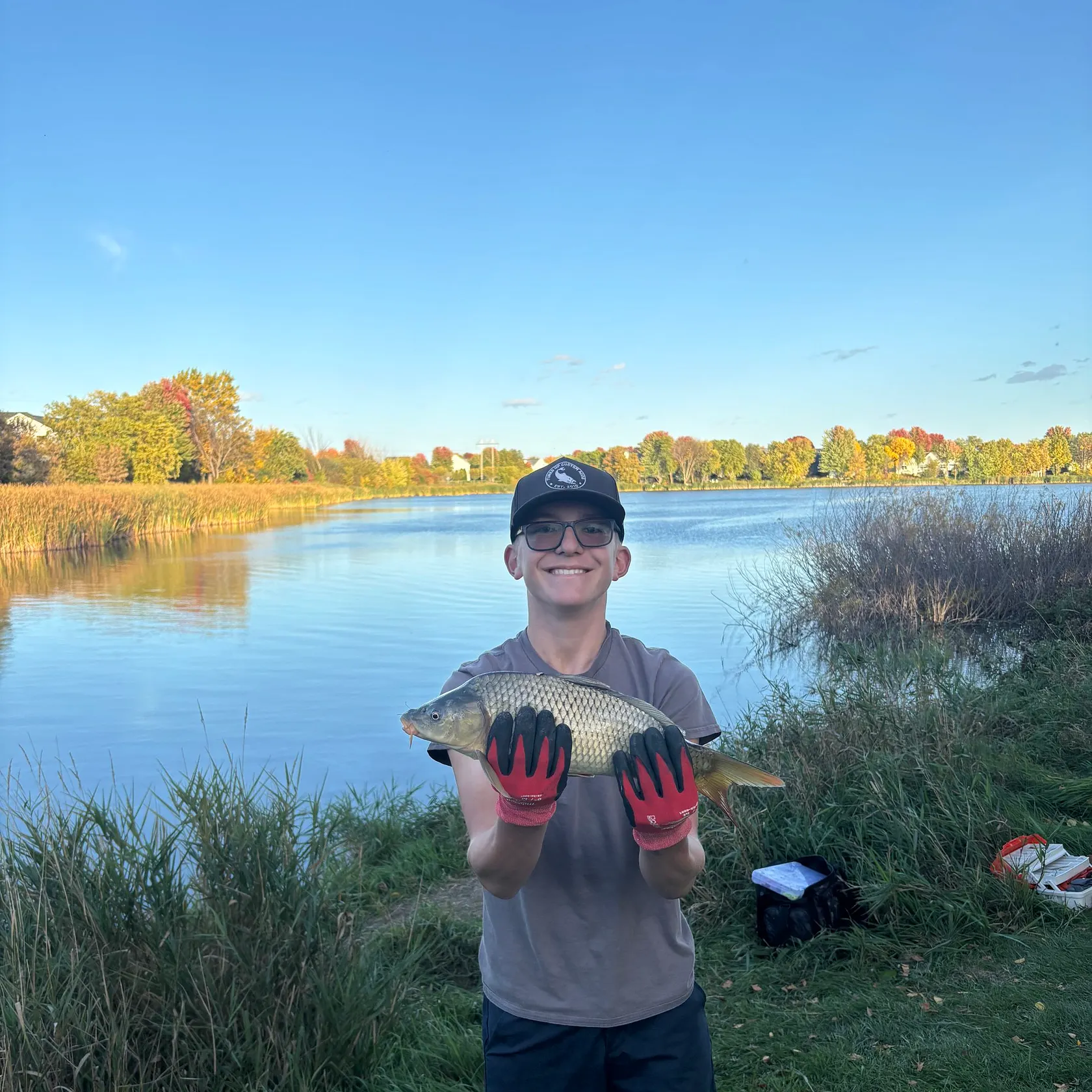 Common carp caught on Fishbrain