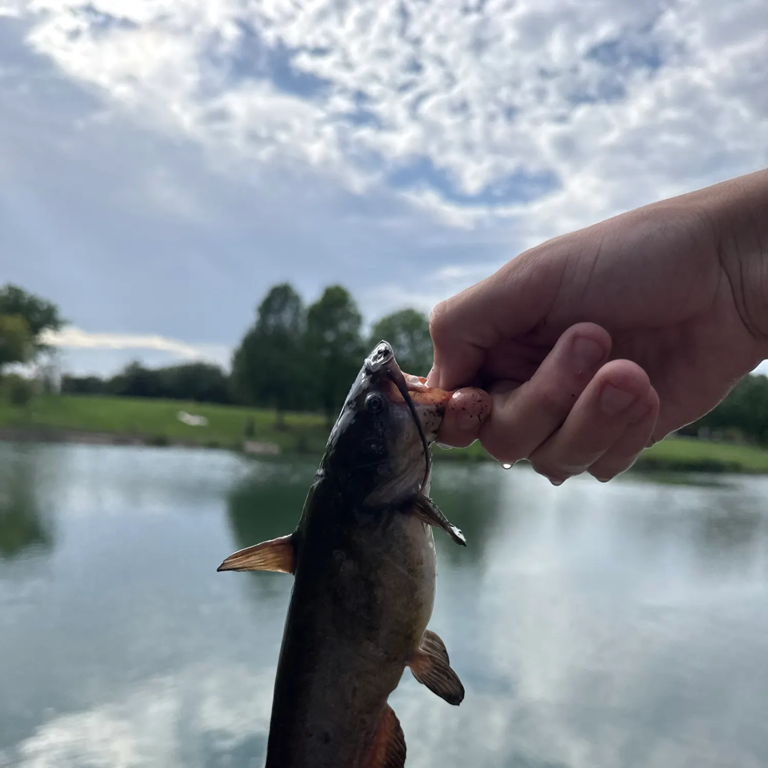 catch