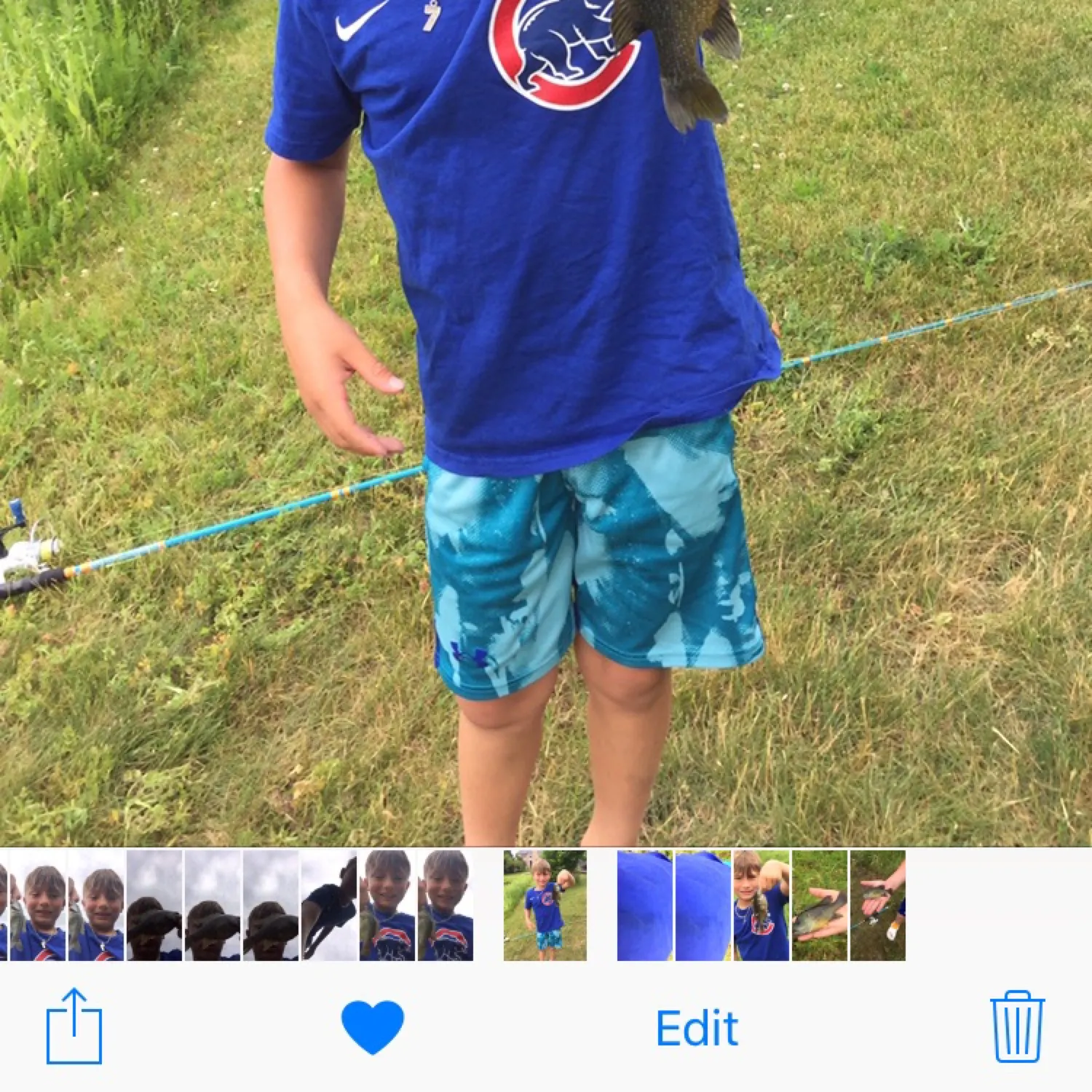 recently logged catches