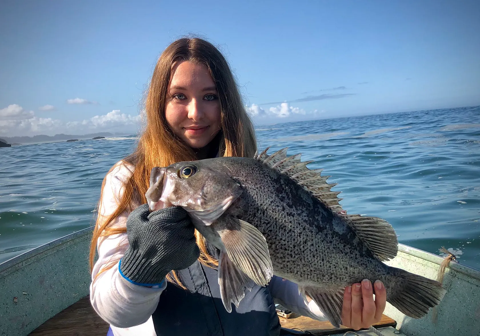 Black rockfish