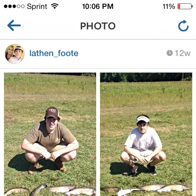 recently logged catches