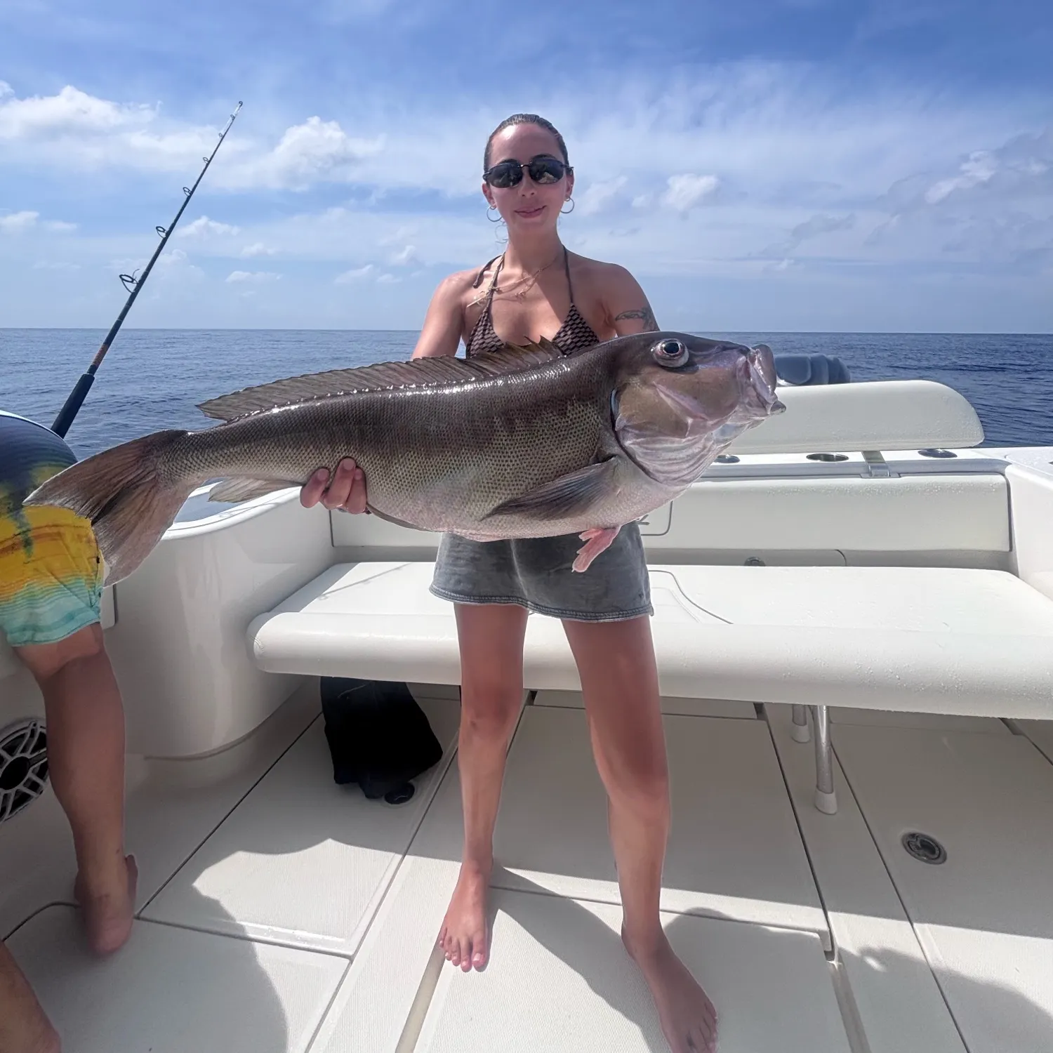 The most recent Grey tilefish catches on Fishbrain