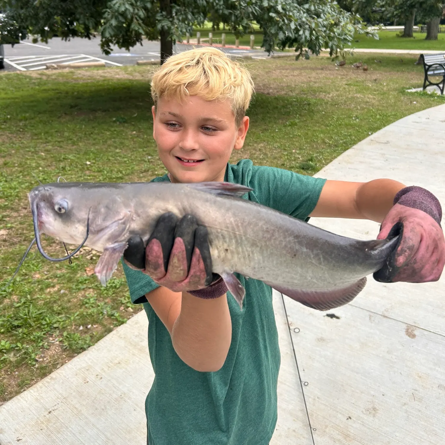 Blue catfish caught on Fishbrain