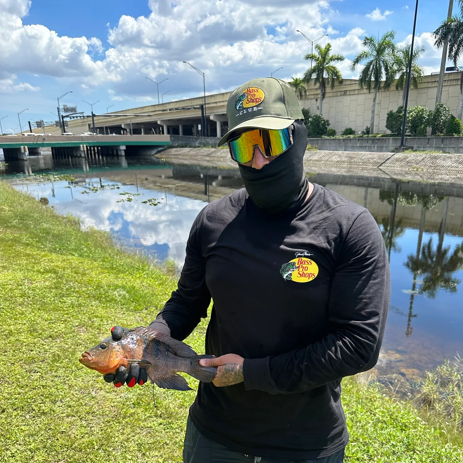 Mayan cichlid caught on Fishbrain