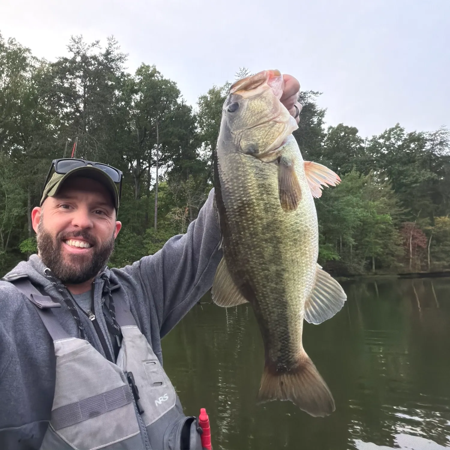 Largemouth bass caught on Fishbrain