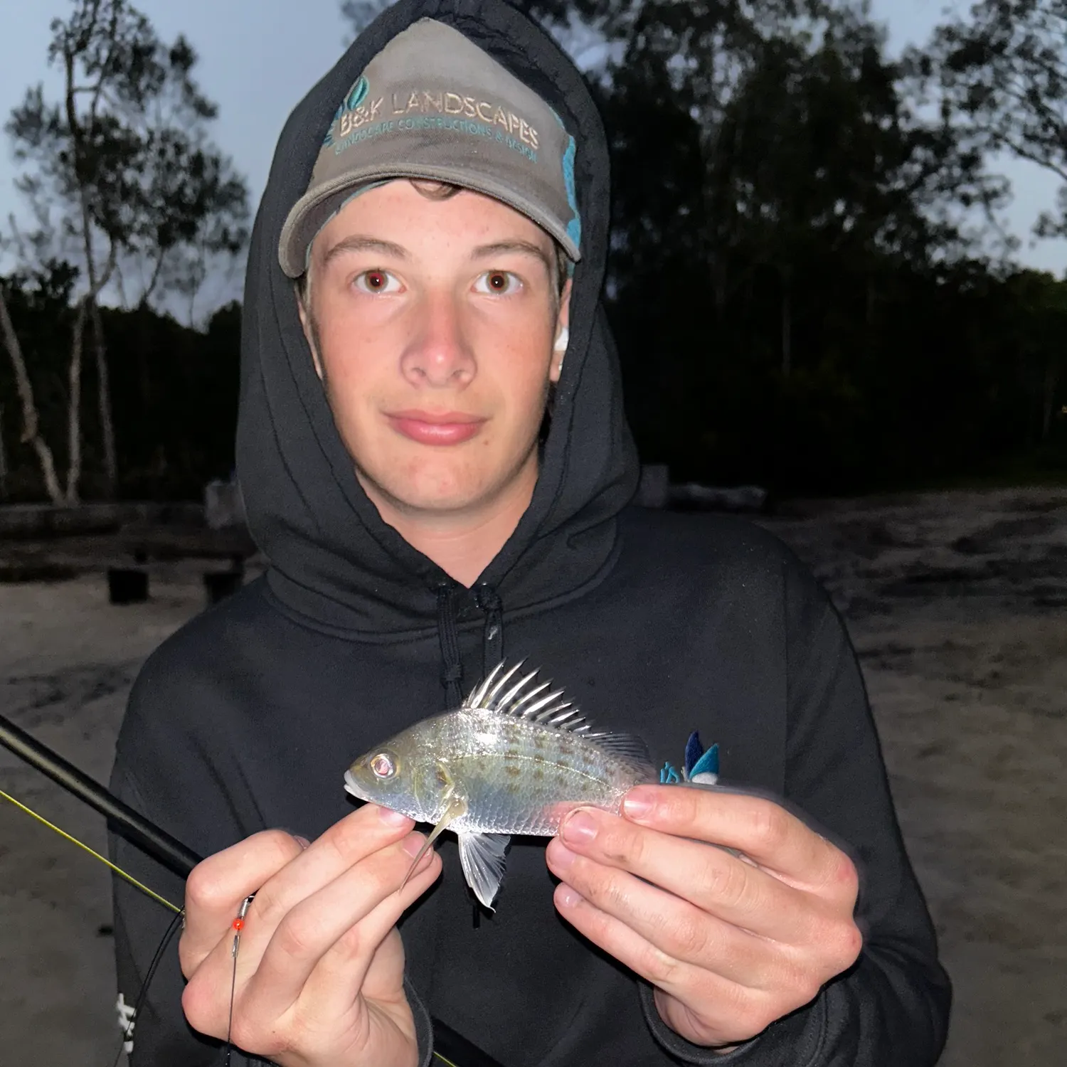 The most recent Javelin grunter catches on Fishbrain