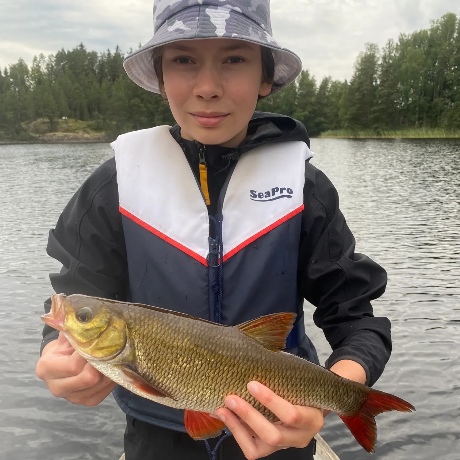 Ide caught on Fishbrain