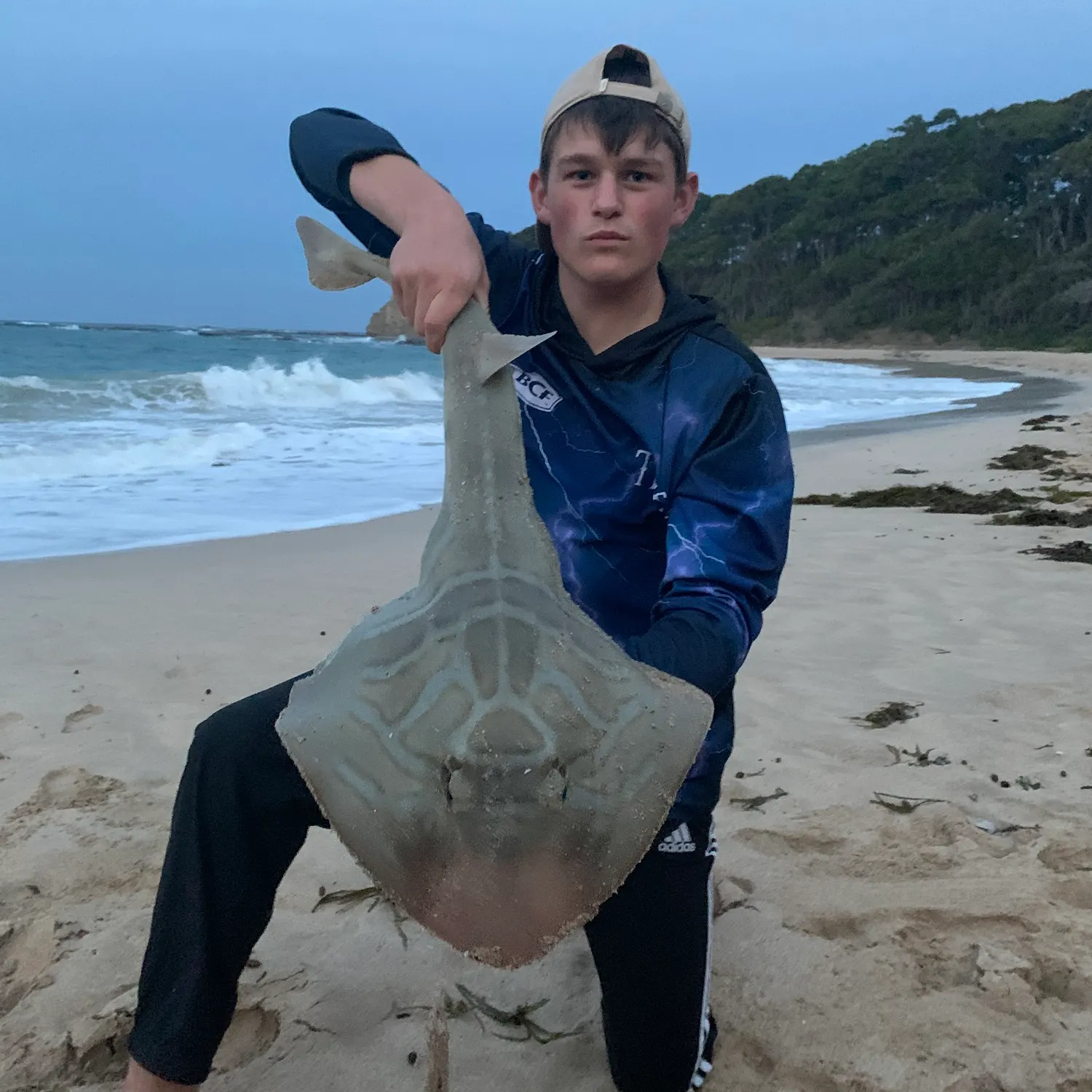 The most recent Southern fiddler catches on Fishbrain