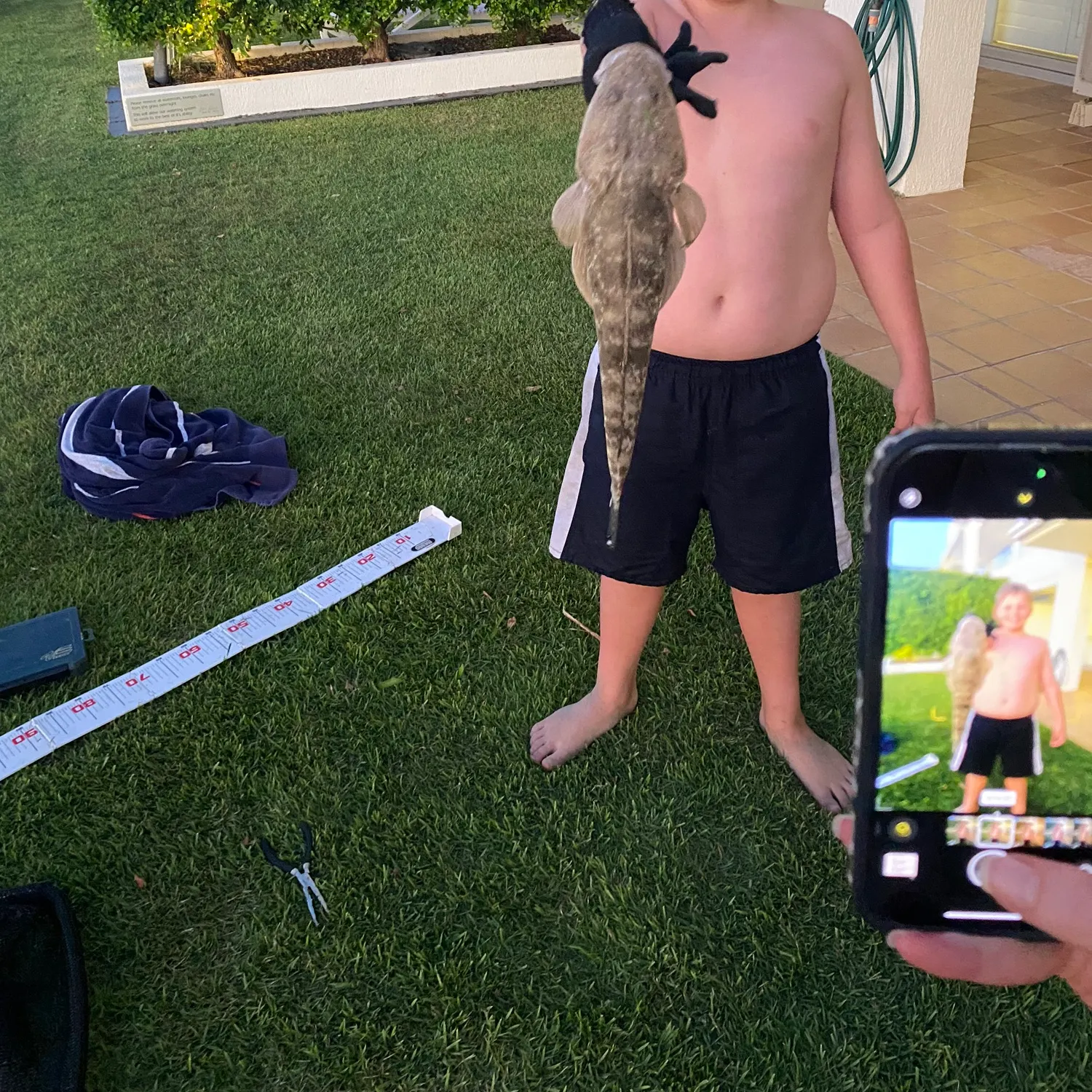 The most recent Dusky flathead catches on Fishbrain