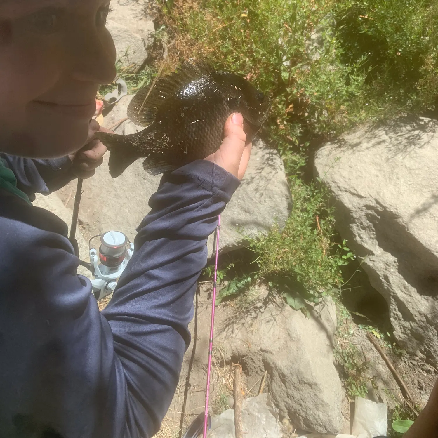 Fish caught on Fishbrain