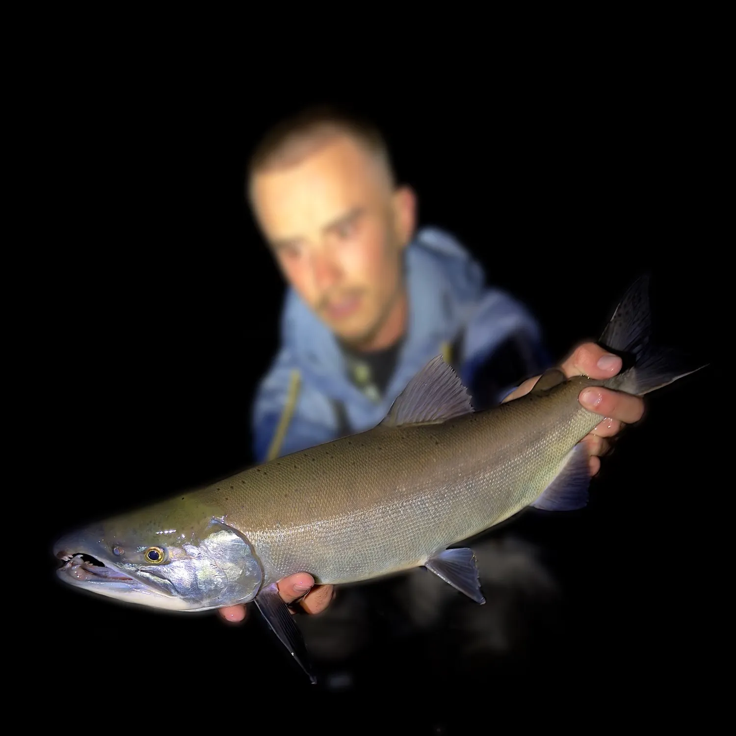 Kokanee salmon caught on Fishbrain
