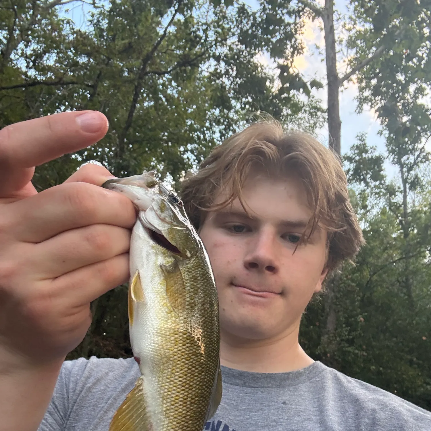 Smallmouth bass caught on Fishbrain