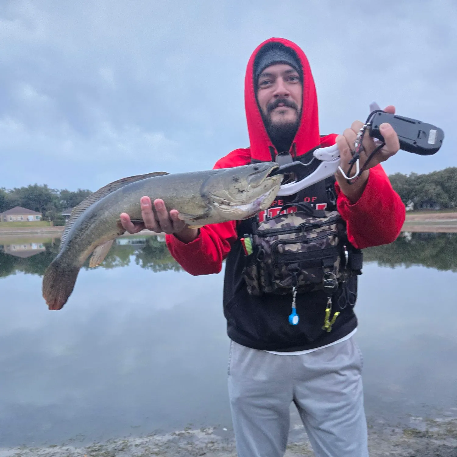 The most recent Ruddy bowfin catches on Fishbrain