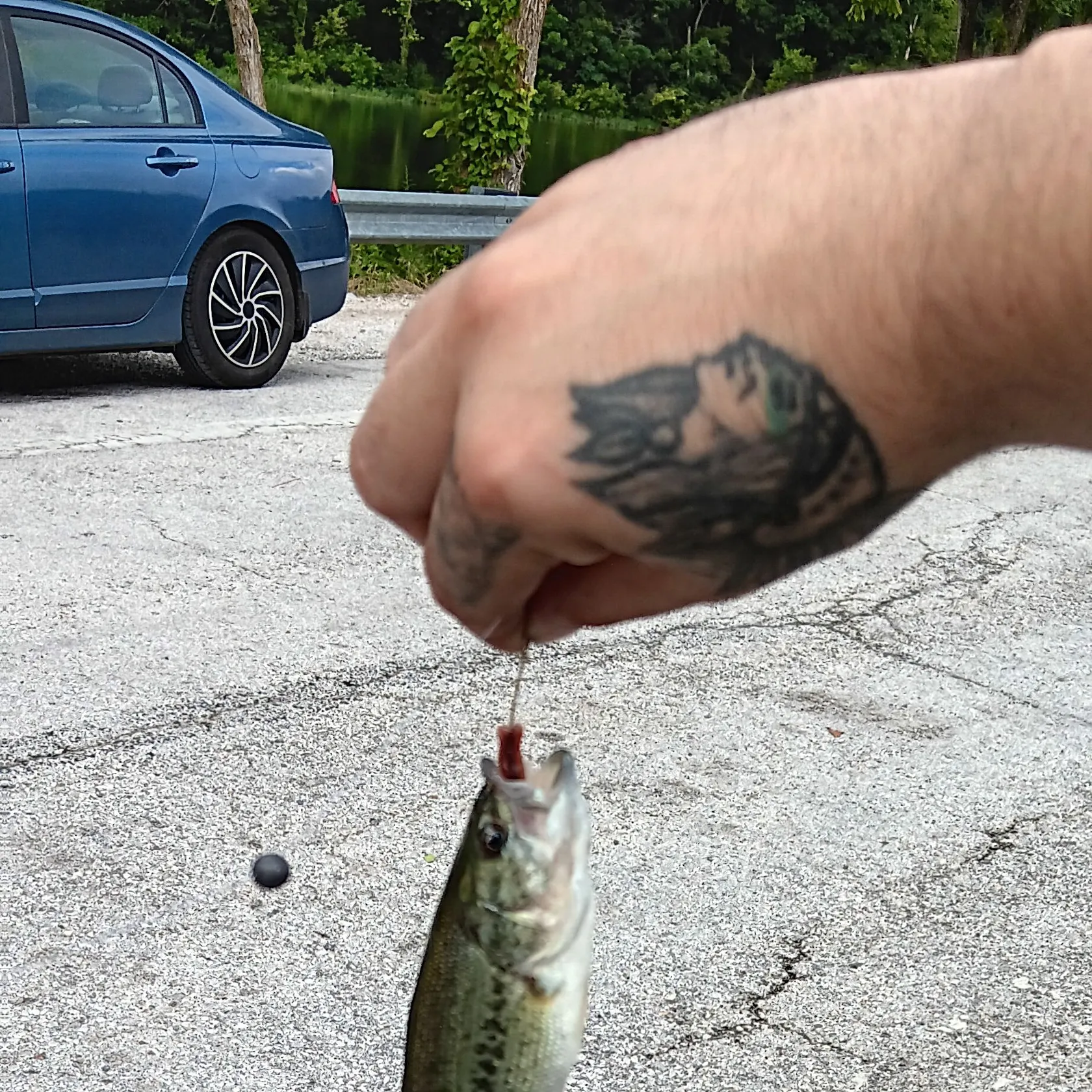 catch