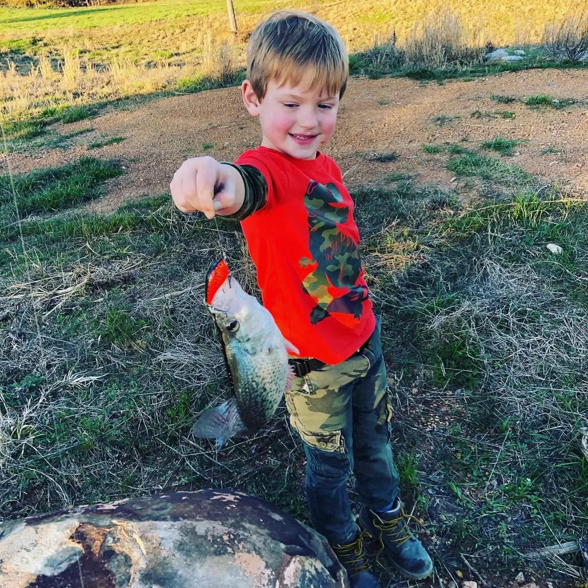The most recent Black crappie catches on Fishbrain