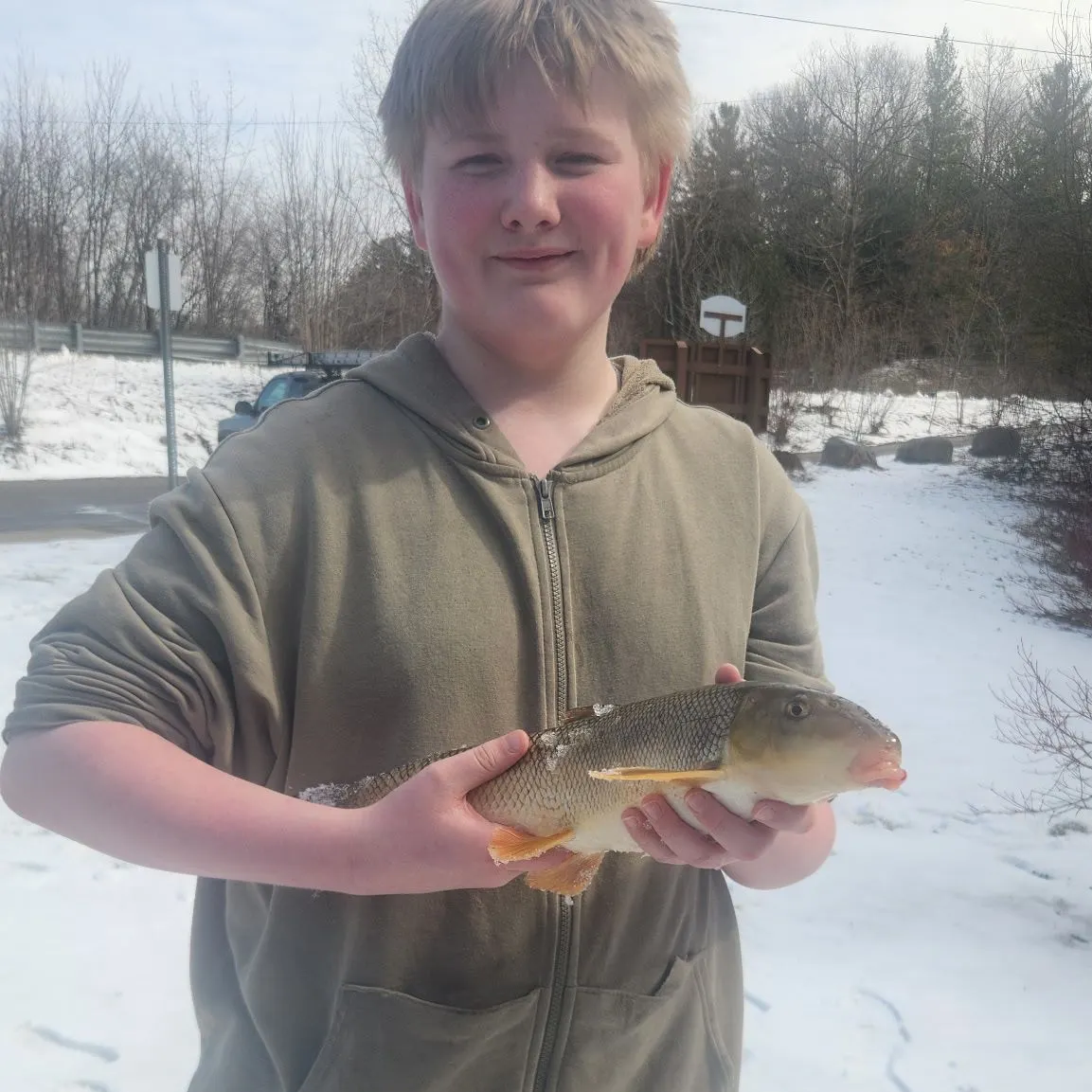 The most recent White sucker catches on Fishbrain