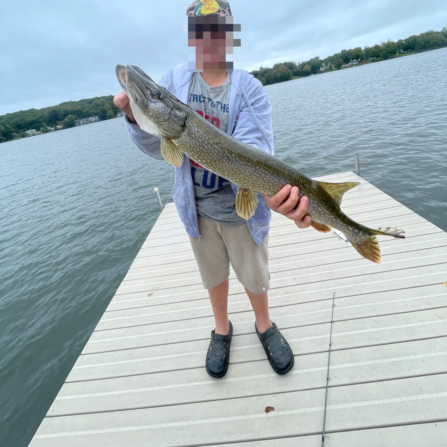 Northern pike caught on Fishbrain