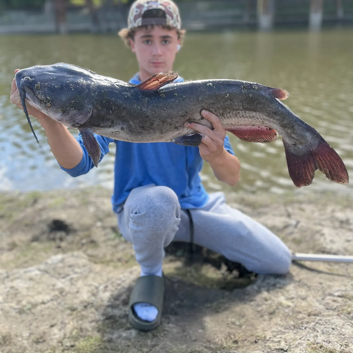 Channel catfish caught on Fishbrain