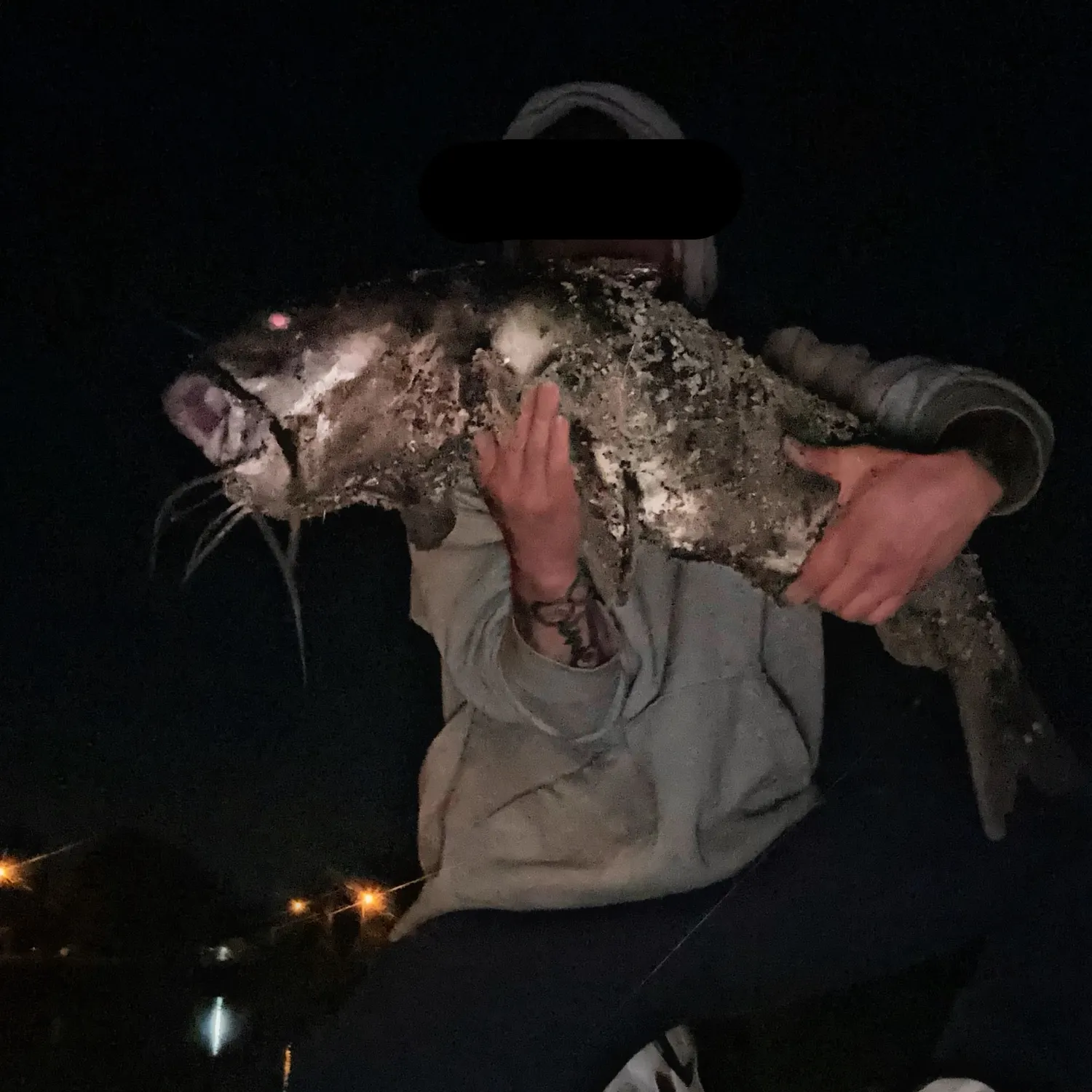 Channel catfish caught on Fishbrain