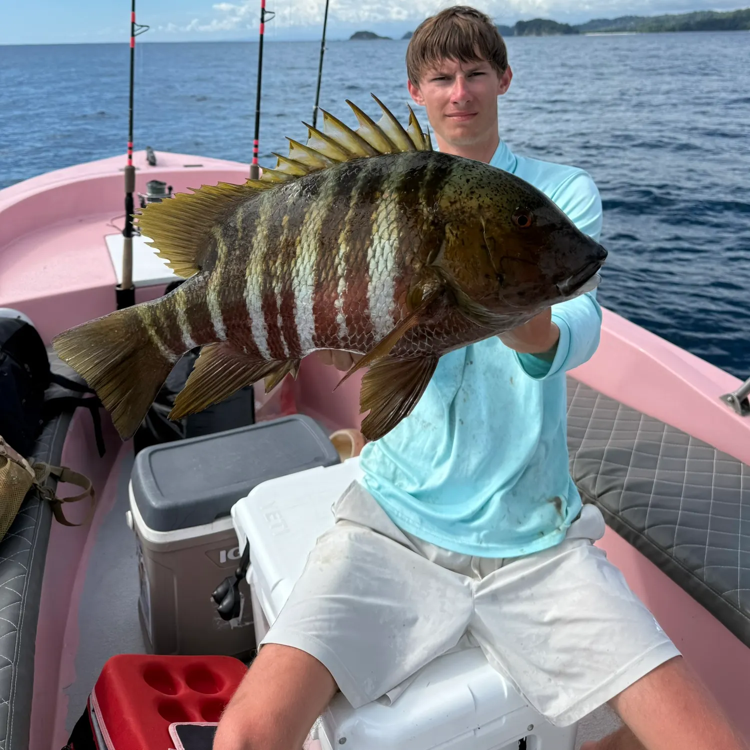 The most recent Mexican barred snapper catches on Fishbrain