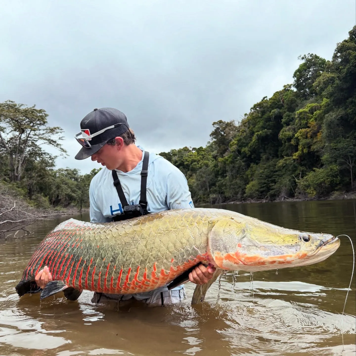 The most recent Arapaima catches on Fishbrain